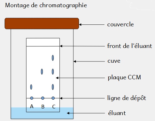 schéma CCM